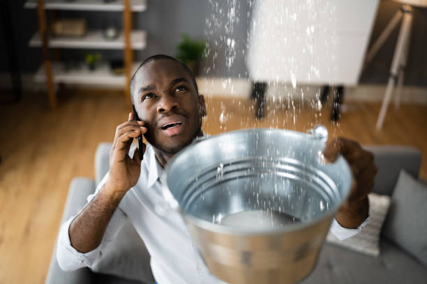 Best Professional water damage repair  in Lincoln, MT