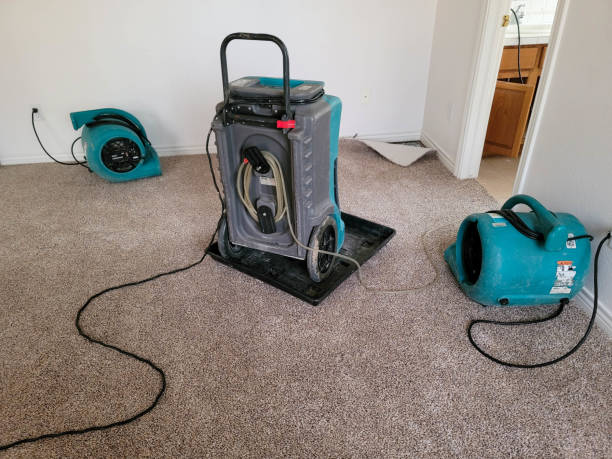 Best Emergency water damage restoration  in Lincoln, MT