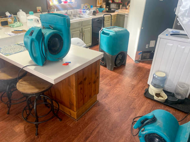 Best Local water damage restoration  in Lincoln, MT