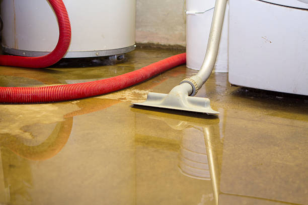 Reliable MT Water damage restoration Solutions