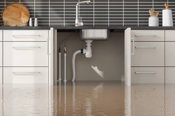 Best Ceiling water damage repair  in Lincoln, MT