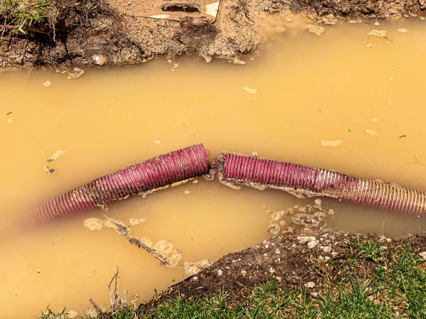 Best Water damage contractors near me  in Lincoln, MT